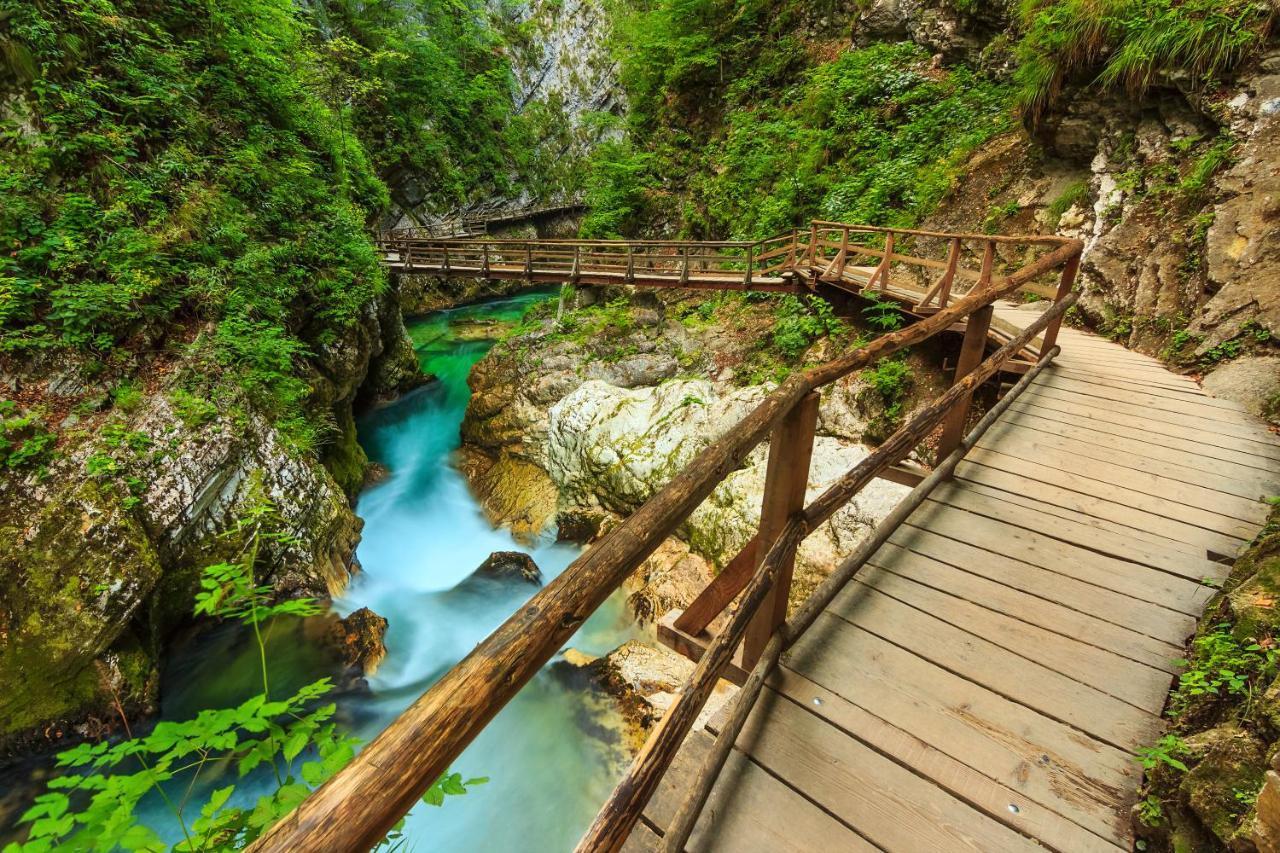 Lake Bled Holiday Home Εξωτερικό φωτογραφία